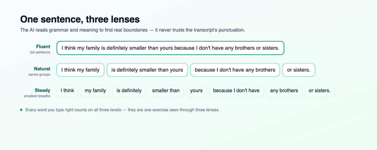 One sentence, three lenses — Fluent, Natural, Steady